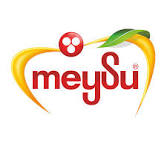 Meysu